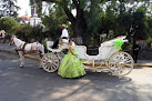 Negocio Foto Estudio Artes De Tláhuac Foto Y Video